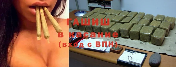гашик Богданович