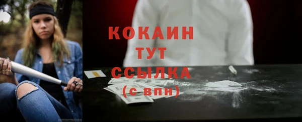 гашик Богданович