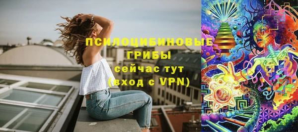 гашик Богданович