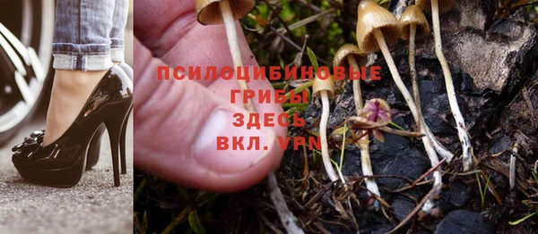 гашик Богданович