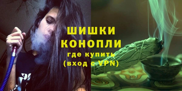 гашик Богданович