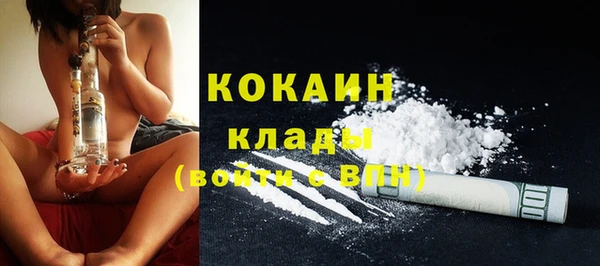 гашик Богданович
