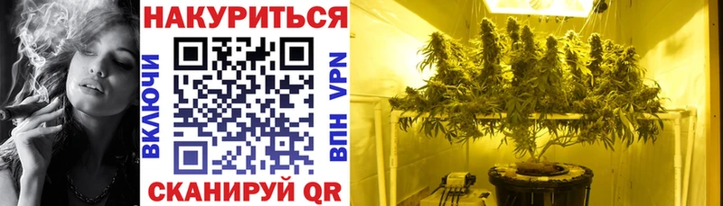 Канабис OG Kush  мега рабочий сайт  Златоуст  наркотики 